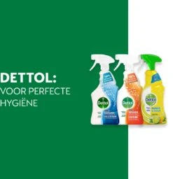 Dettol - 1,5L Allesreiniger Spray Power & Fresh - Badkamer 1x500 Ml Keuken 1x500ml Citrus 1x500ml - Voordeelverpakking -Reinigingsproducten Winkel 1159x1200 1