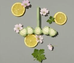 Marcel's Green Soap Toiletblok Geranium & Citroen - 55 Gram -Reinigingsproducten Winkel 1200x1023