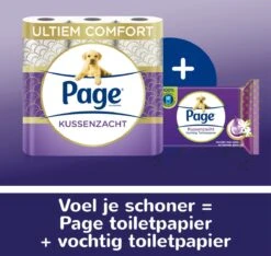 Page Vochtig Toiletpapier - 12 X 38 Stuks - Kussenzacht Vochtig Wc Papier - Voordeelverpakking -Reinigingsproducten Winkel 1200x1137 1