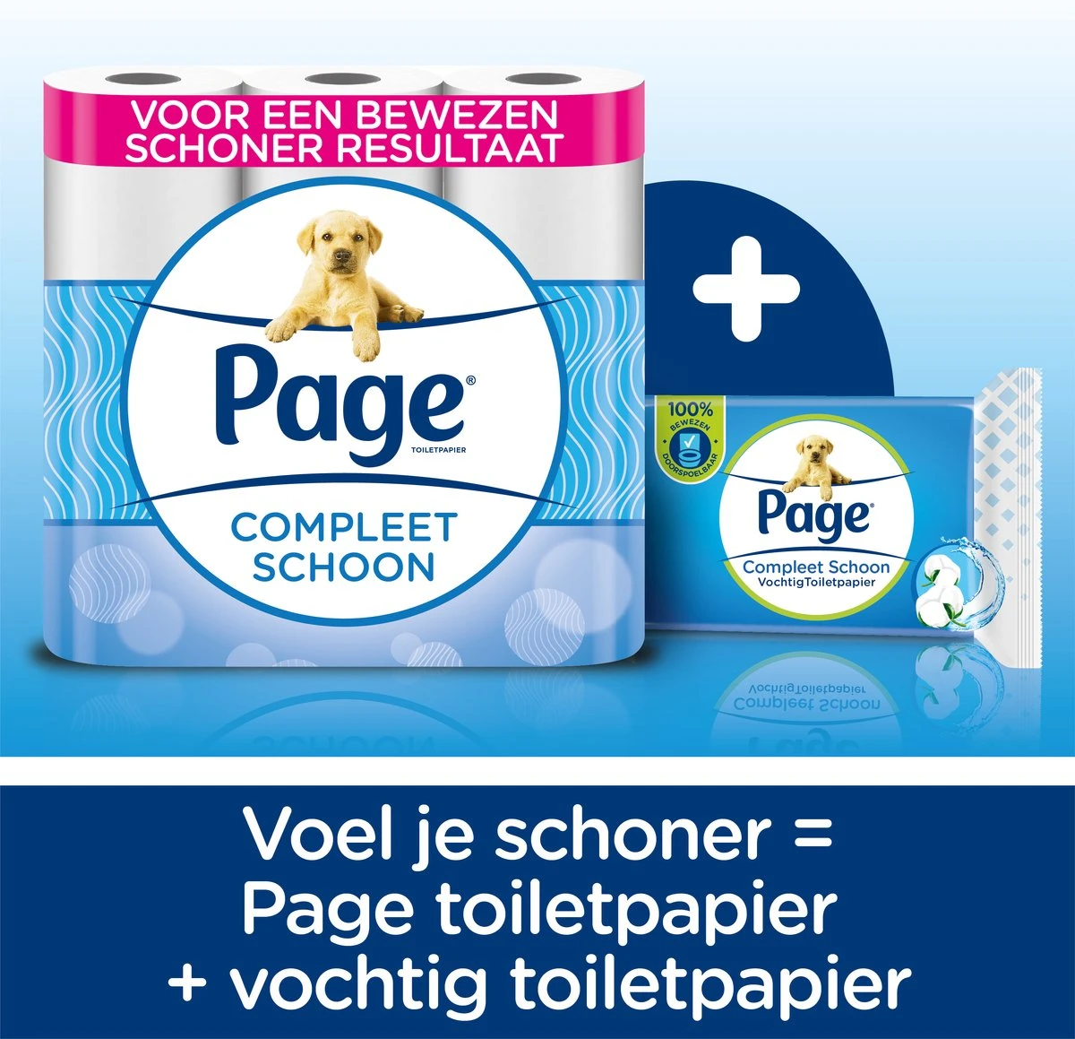 Page Toiletpapier - 96 Rollen - Compleet Schoon Wc Papier - Met Een Vleugje Katoen 5 Page Toiletpapier - 96 Rollen - Compleet Schoon Wc Papier - Met Een Vleugje Katoen - Afbeelding 3