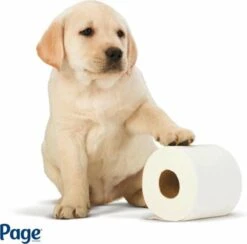 Page Toiletpapier - Eco - Duurzaam - 24 Rollen - Voordeelverpakking -Reinigingsproducten Winkel 1200x1186 1