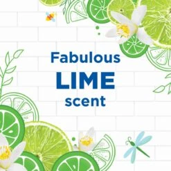 WC Eend Fresh Discs Navul Duo Lime 72 Ml -Reinigingsproducten Winkel 1200x1200 327