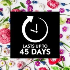 Air Wick Essential Mist Automatische Geurverspreider Luchtverfrisser - Innerlijke Rust - Navulling 17 Air Wick Essential Mist Automatische Geurverspreider Luchtverfrisser - Innerlijke Rust - Navulling -Reinigingsproducten Winkel 1200x1200 627