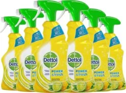Dettol - Power & Fresh - Allesreinger Spray - Citrus - 6 X 500 Ml -Reinigingsproducten Winkel 1200x885