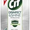 Cif Disinfect & Shine Wipes Doden 99,99% Van De Bacteriën Original Desinfecterende Schoonmaakdoekjes, Van 100% Biologisch Afbreekbaar Textiel 5 X 75 Doekjes -Reinigingsproducten Winkel 665x1200